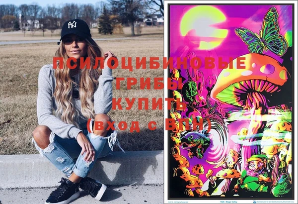 спиды Алексеевка